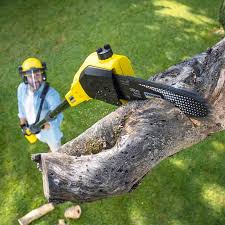 Best Pest Control for Lawns  in Palmdale, CA